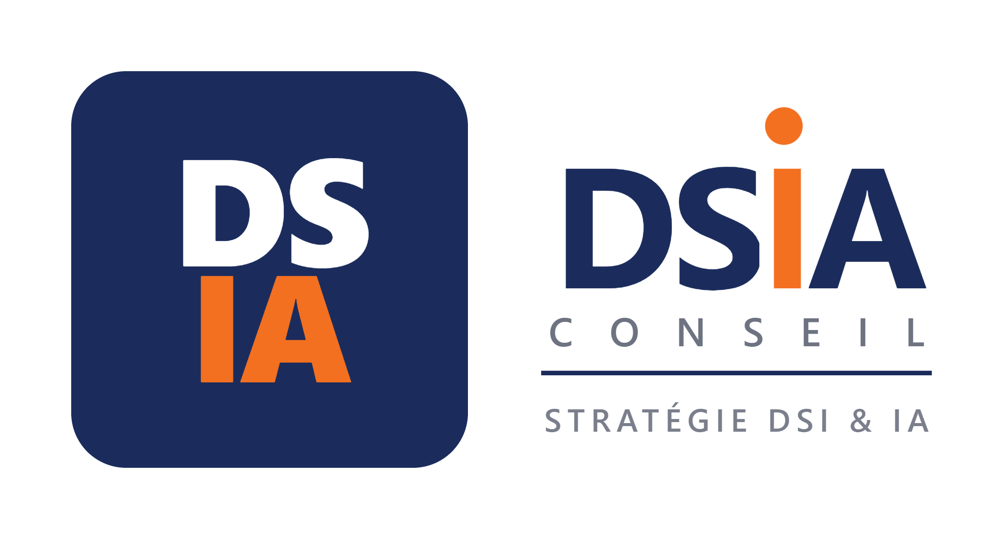 DSIA CONSEIL